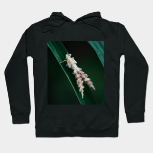 Leafhopper Hoodie